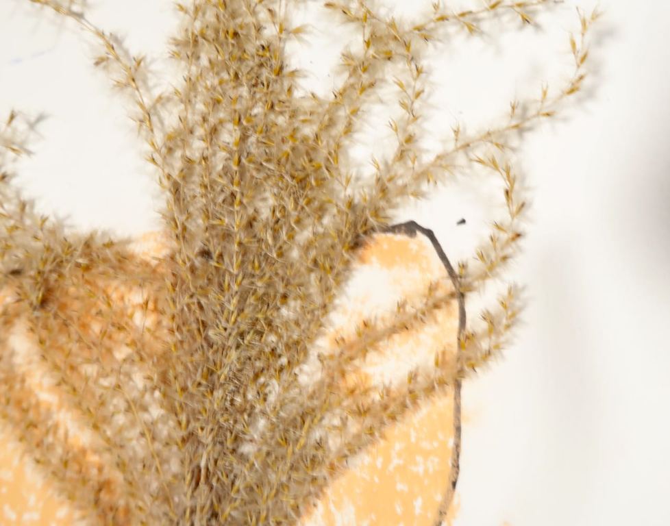 Lot met 7x Gemengde techniek van Meertje Kaal kopen? Bied vanaf 1!