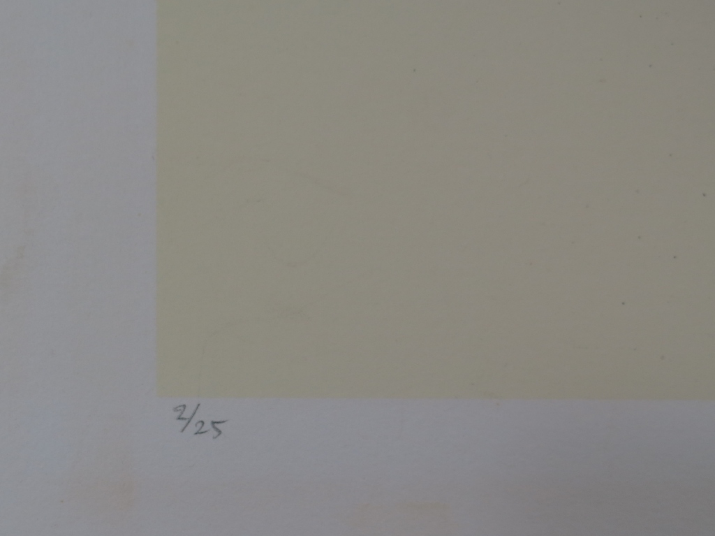 Metten Koornstra: Litho, Zonder titel kopen? Bied vanaf 1!