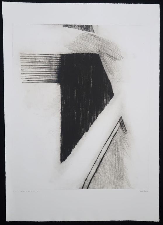 Maaike Alma: Droge Naald, To be or not to be II kopen? Bied vanaf 1!