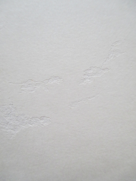 Anneke Kuijper, etsje vleermuis. kopen? Bied vanaf 25!