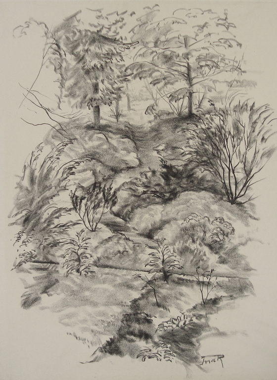 Ina Rahusen - Tekening - Beekje bij Hattem verkauft für € 55!
