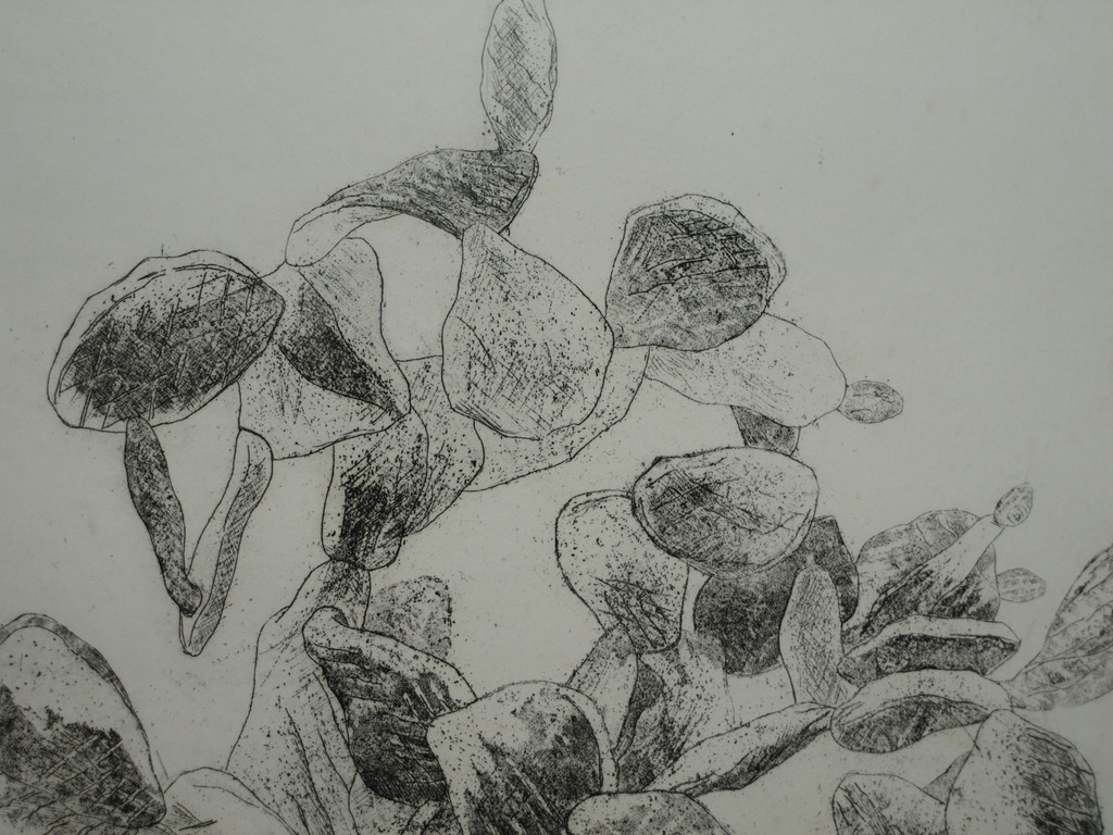 Walter Barten : Ets , De cactussen – gesigneerd – ca 1980 kopen? Bied vanaf 1!