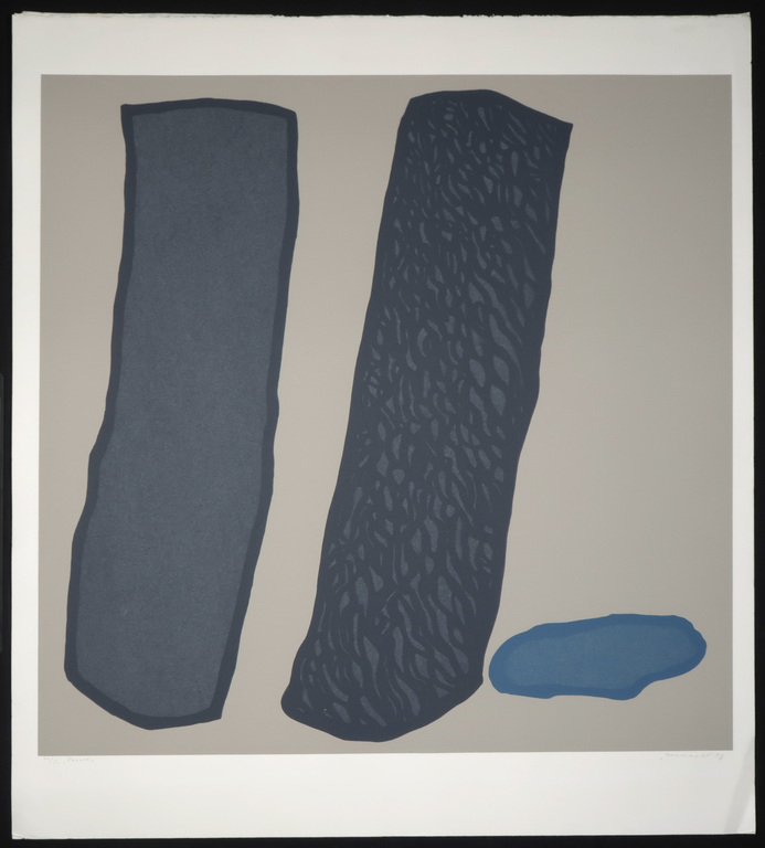 Doris Groeneveld: Zeefdruk, Basalt kopen? Bied vanaf 20!