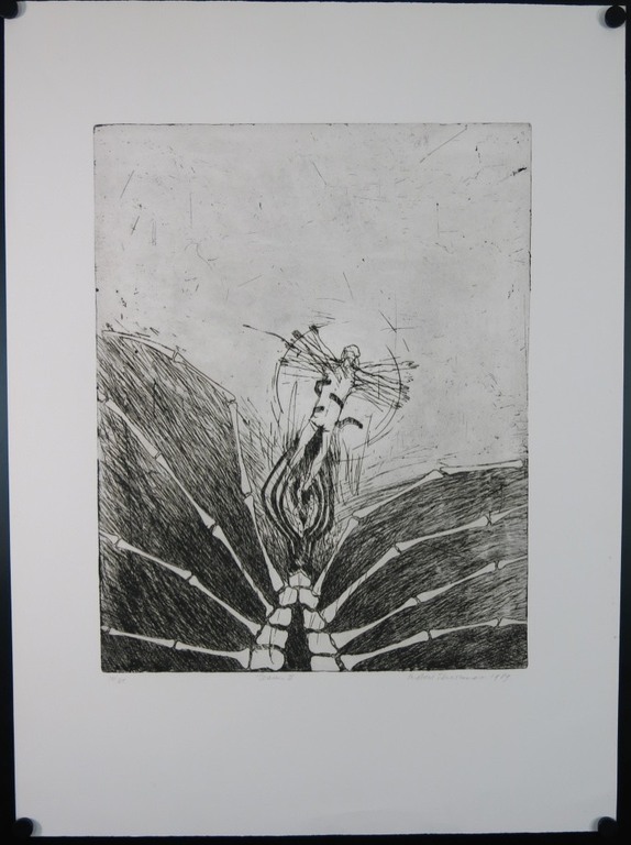 Robert Terwindt: Ets, Icarus II kopen? Bied vanaf 1!