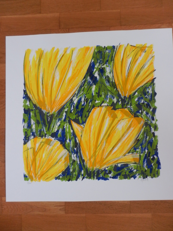 AD Van Hassel Zeefdruk GELE TULPEN kopen? Bied vanaf 35!