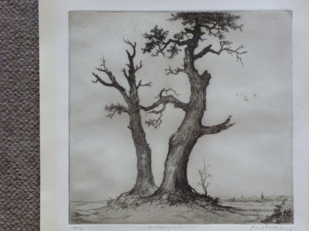 Dirk Baksteen - ets - De Koppigaards kopen? Bied vanaf 95!