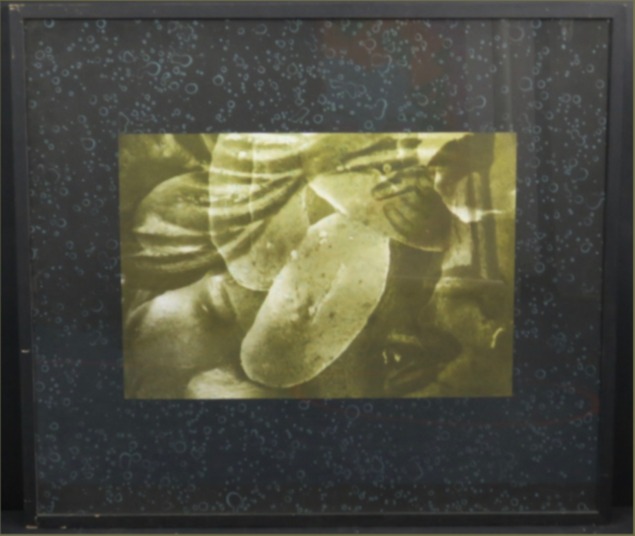 Titus Nolte: Zeefdruk, Zonder titel (groen) -Ingelijst kopen? Bied vanaf 1!