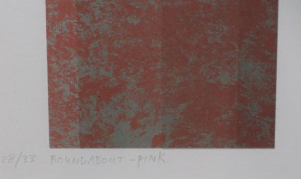 Harald Vlugt: Zeefdruk, Round About Pink -Ingelijst kopen? Bied vanaf 40!