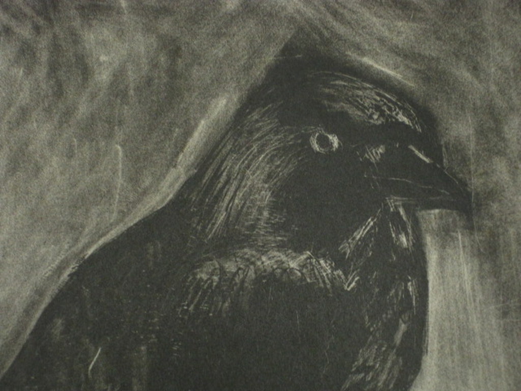 Vroeg figuratief werk van Yvonne Kracht (1931) Litho "Kraai" gesigneerd  kopen? Bied vanaf 1!