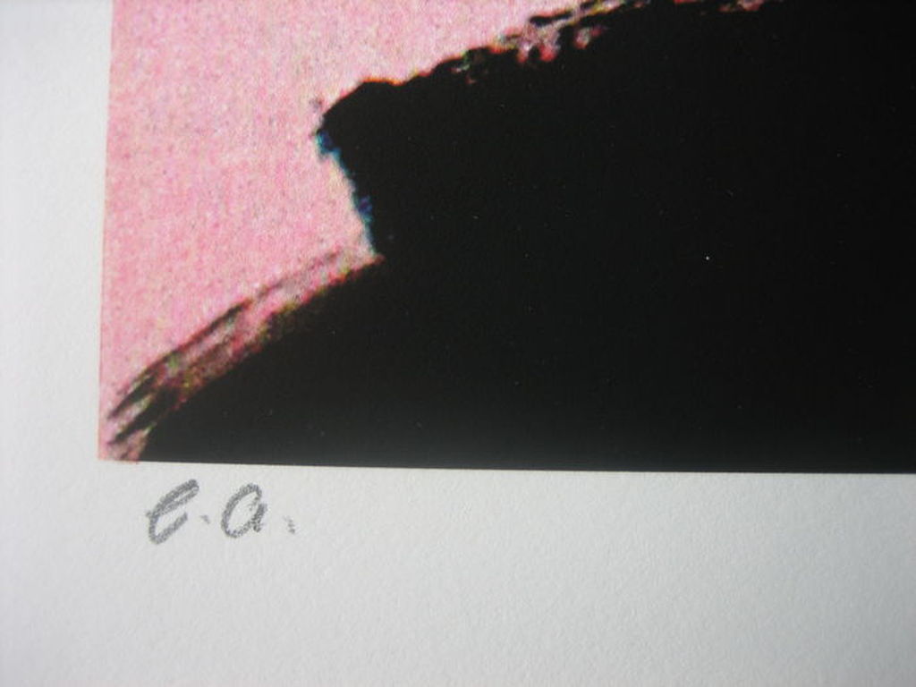 Paul Kostabi - 8 Ball Nation - Giclee - Handgesigneerd - Oplage: 75 - 2012 kopen? Bied vanaf 35!