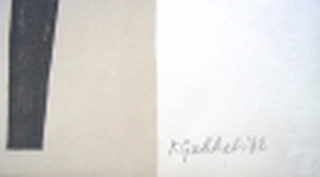 Klaas Gubbels: Kleurenlitho/zeefdruk- zeldzaam!! kopen? Bied vanaf 100!