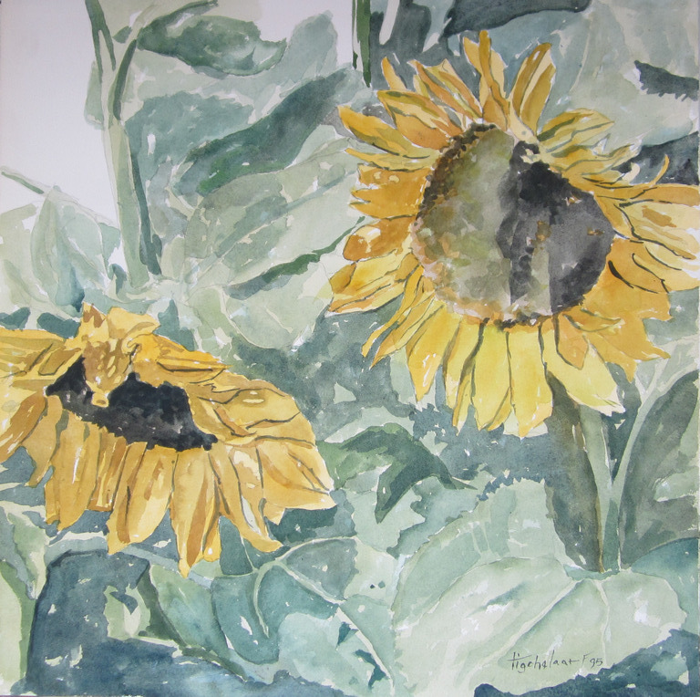 André Tigchelaar: Aquarel, zonnebloemen kopen? Bied vanaf 1!