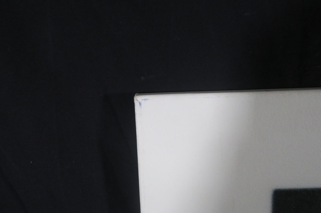 Nans Jetten: Zeefdruk op doek, Gewassen en geknipt 3 (Zeer groot) kopen? Bied vanaf 1!