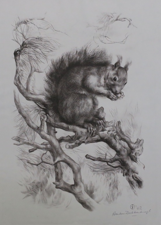 Aart van Dobbenburgh: Litho, Eekhoorn kopen? Bied vanaf 1!