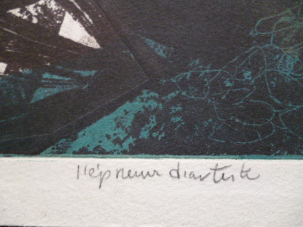 Ru van Rossem - kleurenets - Costa Liguria I kopen? Bied vanaf 80!