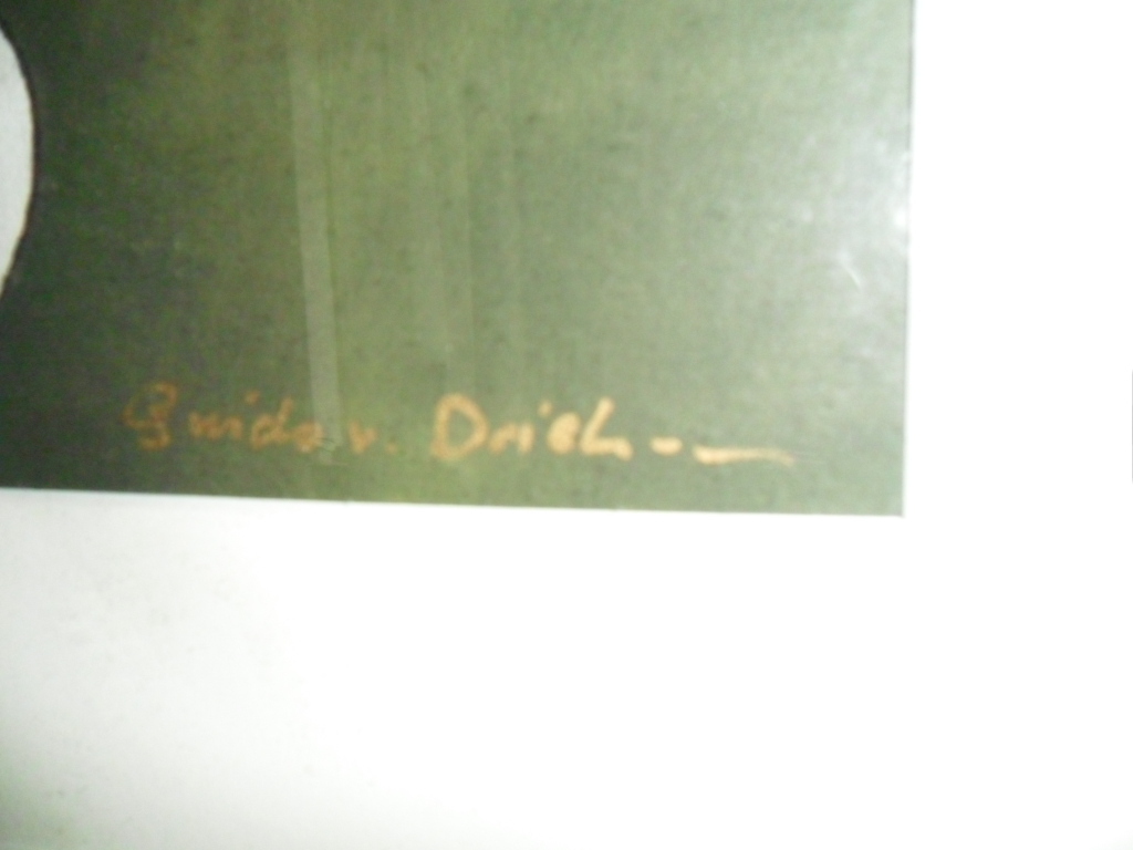 Guido van driel zeefdruk koffie op de golfbaan  kopen? Bied vanaf 25!