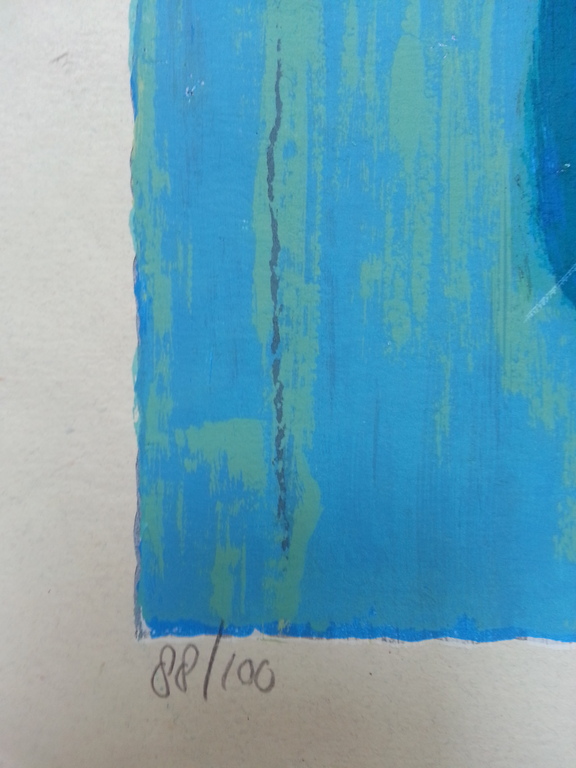 Theo Onnes, zeefdruk op handgeschept papier, titel; " Eva " kopen? Bied vanaf 50!