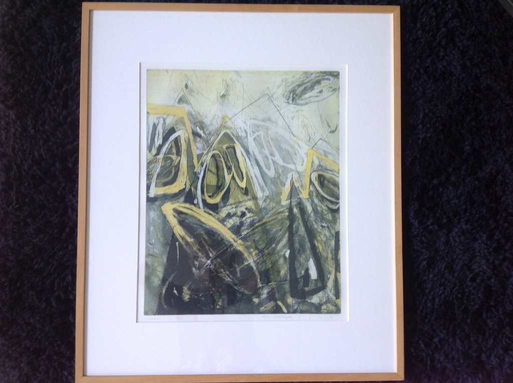 Hans Vredegoor : Kleurenets, CXL 1986 verkocht voor € 50!