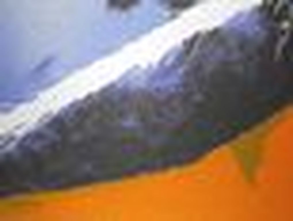 Herman Brood, vliegtuig.Oplage 150 stuks. kopen? Bied vanaf 195!