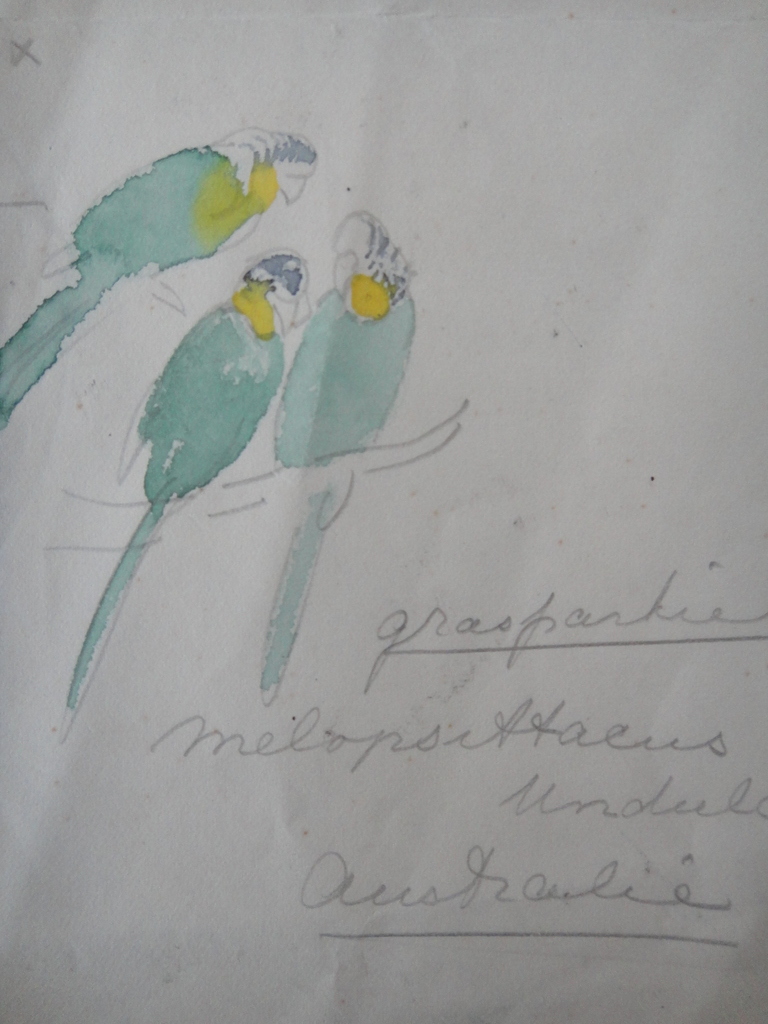 Tini van Doornik (1906-1980), aquarel, 4 schetsen van vogels kopen? Bied vanaf 1!