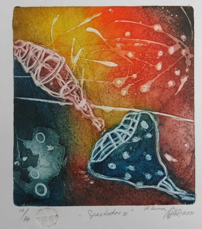 Ad Arma: Ets en aquatint, Spectator II kopen? Bied vanaf 20!