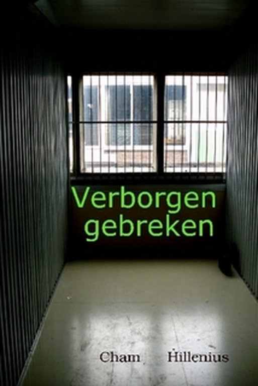 "Overwerken in Leegte" kopen? Bied vanaf 25!
