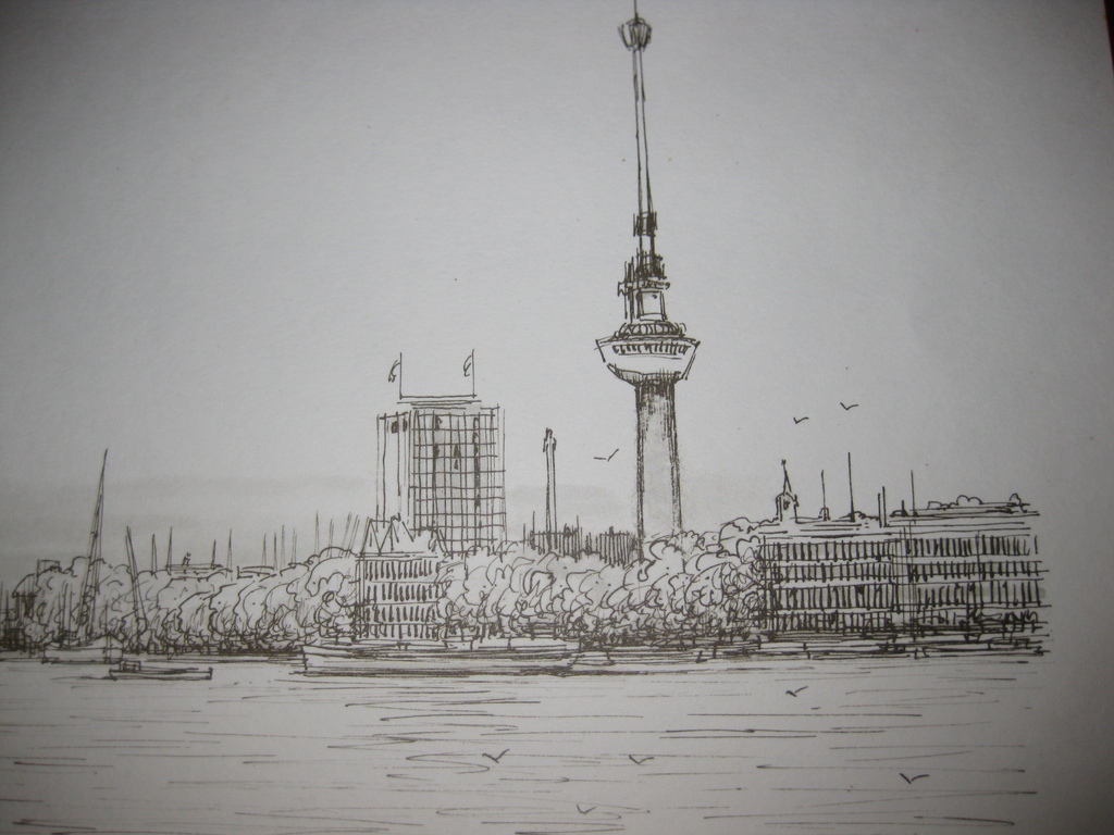 Ongenummerde afdruk van een tekening van Meeuw van Rotterdam - Gezicht op Rotterdam kopen? Bied vanaf 1!
