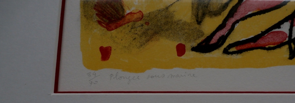 Dominique Chan, ingelijste zeefdruk, handgesigneerd en genummerd kopen? Bied vanaf 60!