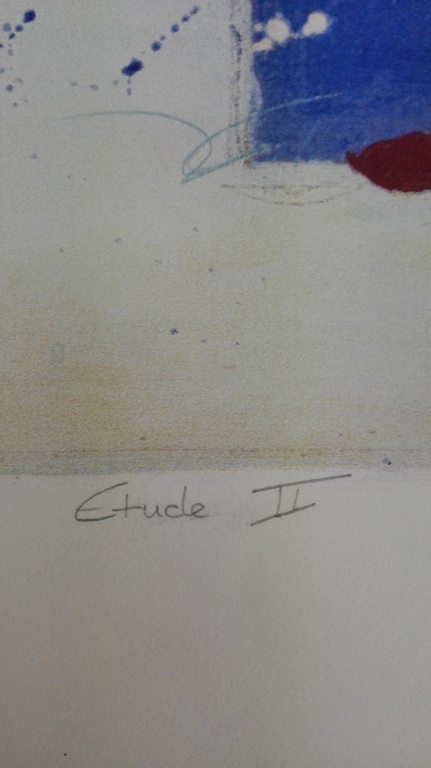 Ron van der Werf, zeefdruk op papier, Titel: Etude II kopen? Bied vanaf 40!