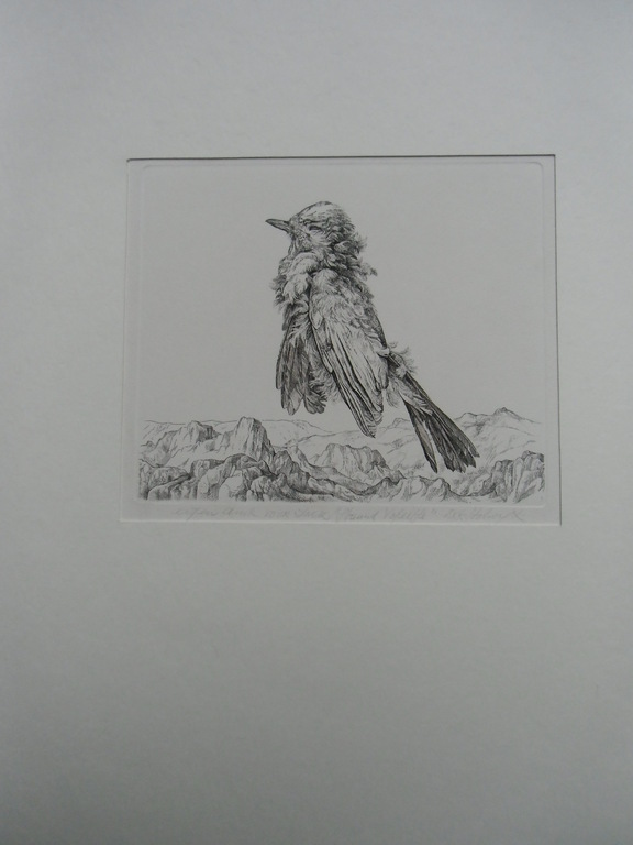 STAAND VOGELTJE  //  ETS VAN DICK STOLWIJK kopen? Bied vanaf 50!