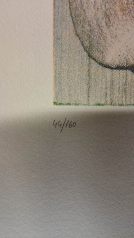 Jan te Wierik, zeefdruk op papier, Titel: Masker kopen? Bied vanaf 80!