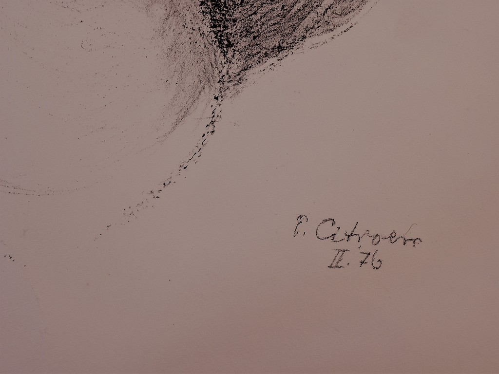 Paul Citroen: Litho  van een vrouw, mogelijk zijn dochter Paulien kopen? Bied vanaf 40!