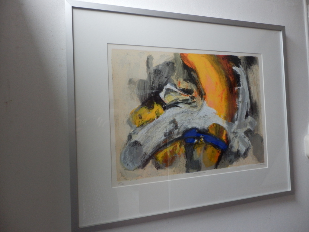 HANS VANHORCK Zeefdruk PERCEPTION INGELIJST verkocht voor € 110!