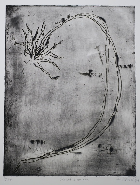 Frank van Hemert: Ets, Secret survivors II kopen? Bied vanaf 50!