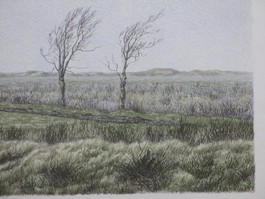 Edgar Fernhout, Noord Hollands landschap, Kleurenlitho kopen? Bied vanaf 1!
