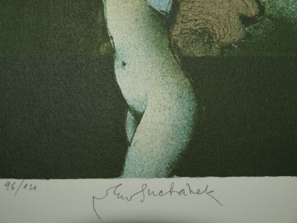 Vladimír Suchánek (1933) : Litho – Vrouw kleedt zich uit –Gesigneerd & ingelijst kaufen? Bieten Sie von 40!
