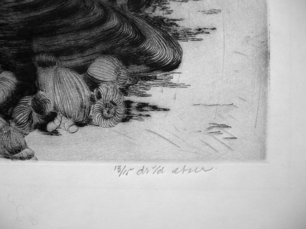 Gerard van Rooy, droge naald: 'Strandstilleven' kopen? Bied vanaf 25!