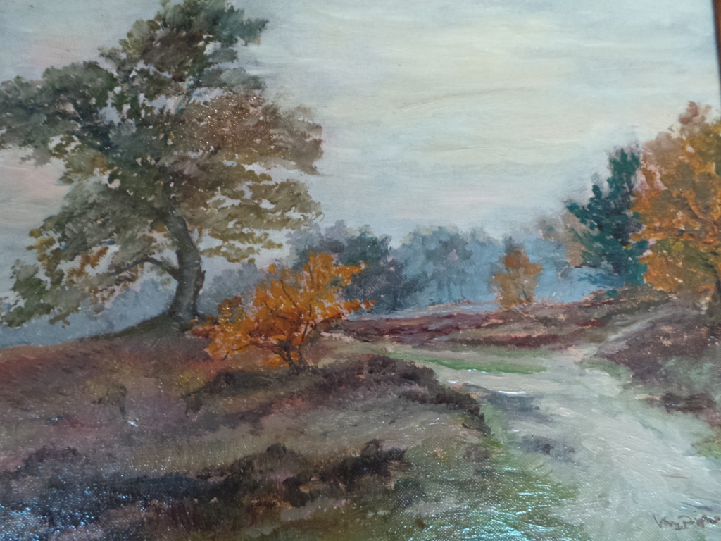 Bosgezicht kopen? Bied vanaf 25!