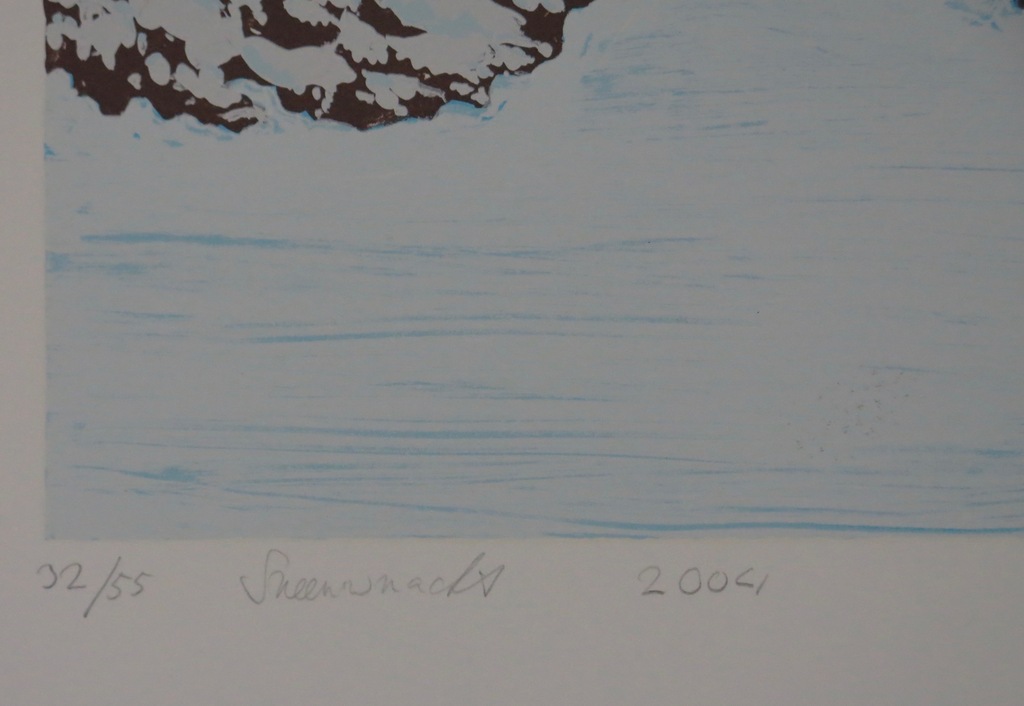 Hjalmar Riemersma: Zeefdruk, Sneeuwnacht kopen? Bied vanaf 35!