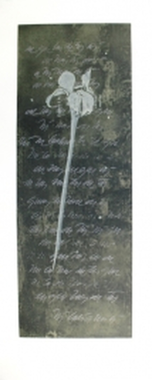 Guillermo Conte - Guillermo Conte - El Lenguaje de la Flores I - Aquatinta - handgesig.+ genumm. verkocht voor € 139!