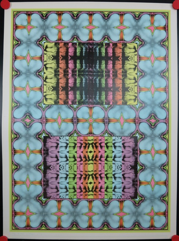 Shinkichi Tajiri: Offset, My Secret Garden No 1 kopen? Bied vanaf 1!