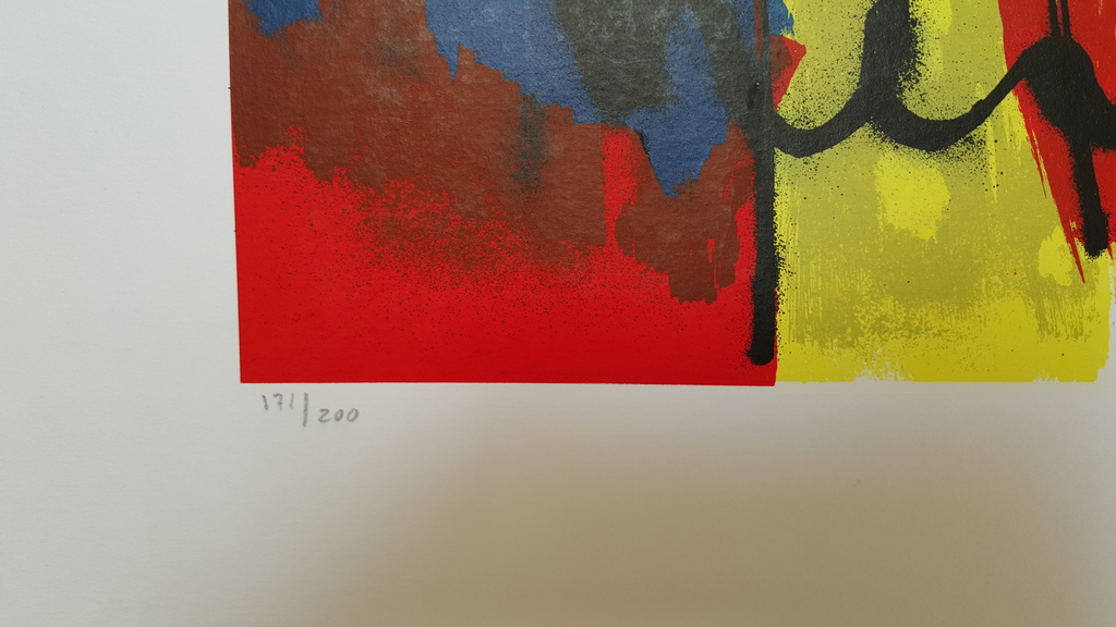 Naked Beauty - gesigneerde zeefdruk op papier - oplage 200 exemplaren  kopen? Bied vanaf 1!