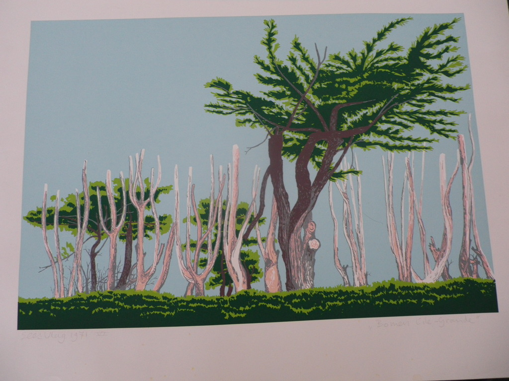 sees vlag verkocht voor € 65!