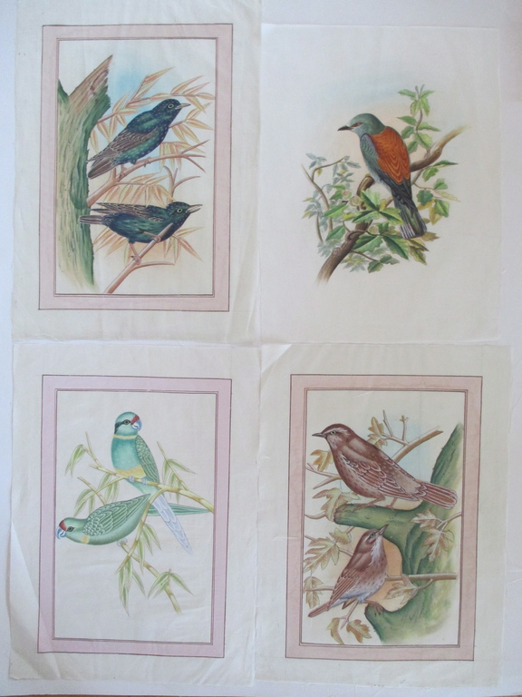 4x Handbeschilderd zijden doek: vogels kopen? Bied vanaf 1!