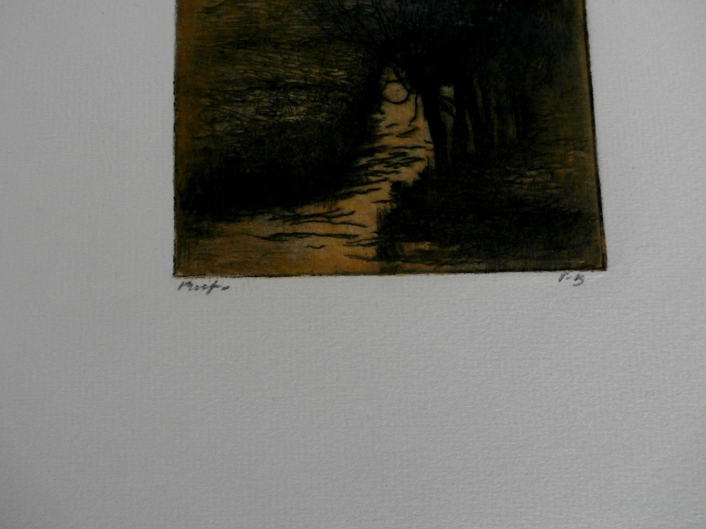 Frederika Broeksmit - ets - slootje met knotwilg kopen? Bied vanaf 50!