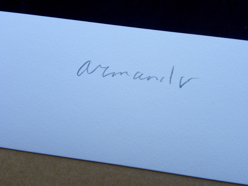 Armando - 'Landschaft' - Handgesigneerde Giclee - Genummerd - 2016 kopen? Bied vanaf 120!