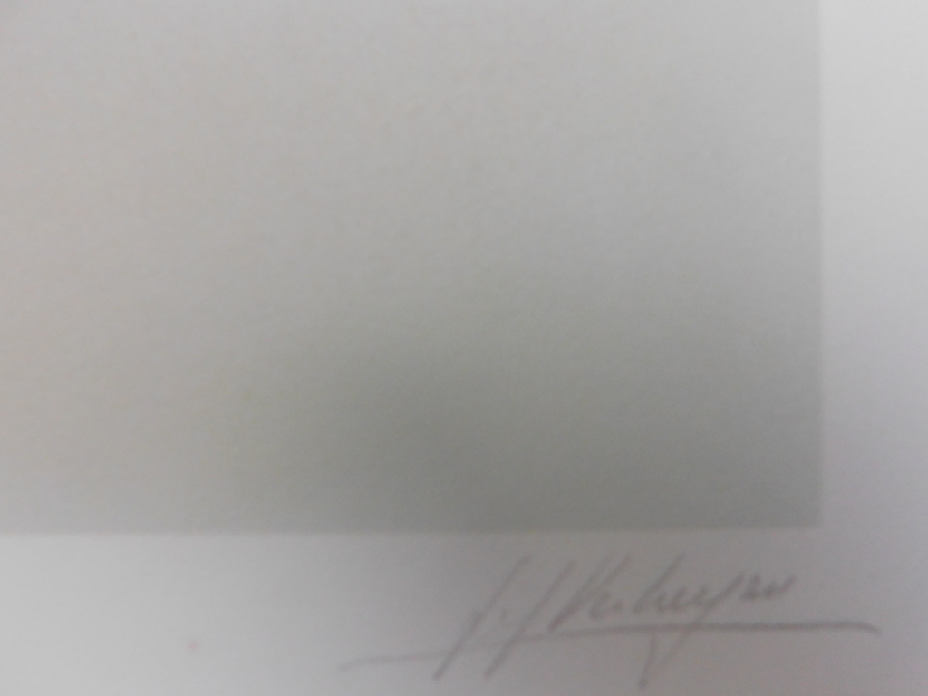 Jef Verheyen - Kleurenlitho - Arc-en ciel  kopen? Bied vanaf 85!