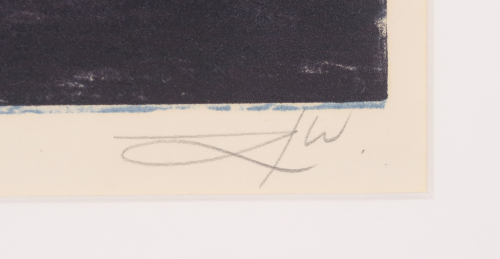 Hermanus J. van Zonneveld: Litho, Kan met bloemen kopen? Bied vanaf 1!