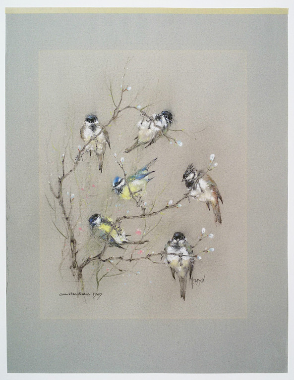 Nenad Karpov - Vogels, tekening kopen? Bied vanaf 125!