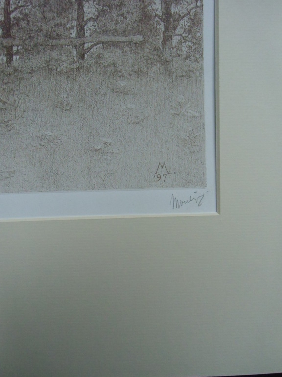 BOOMPJE IN BLOEI   ///   LITHO VAN SIMON MOULIJN kopen? Bied vanaf 60!